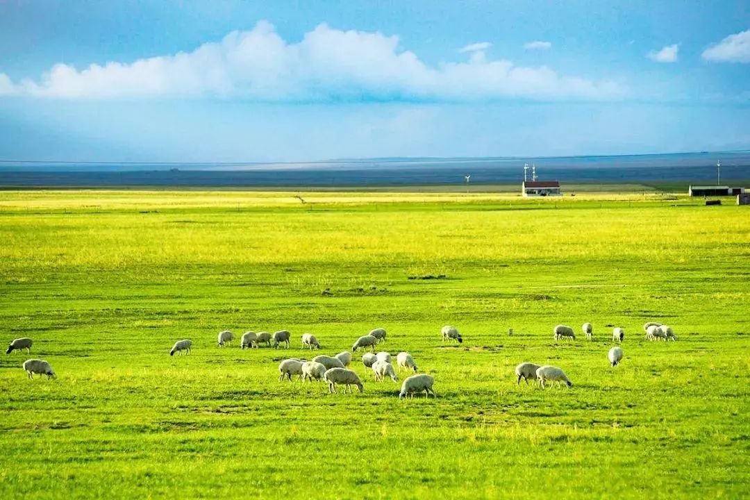 1647567769555485.jpg 微信圖片_20220318091525.jpg